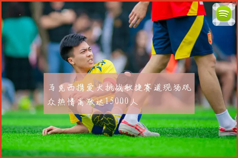 马克西携爱犬挑战敏捷赛道现场观众热情高涨达15000人