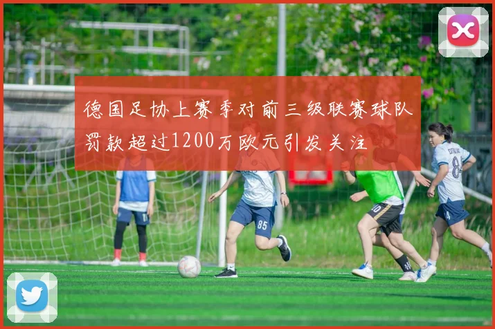 德国足协上赛季对前三级联赛球队罚款超过1200万欧元引发关注
